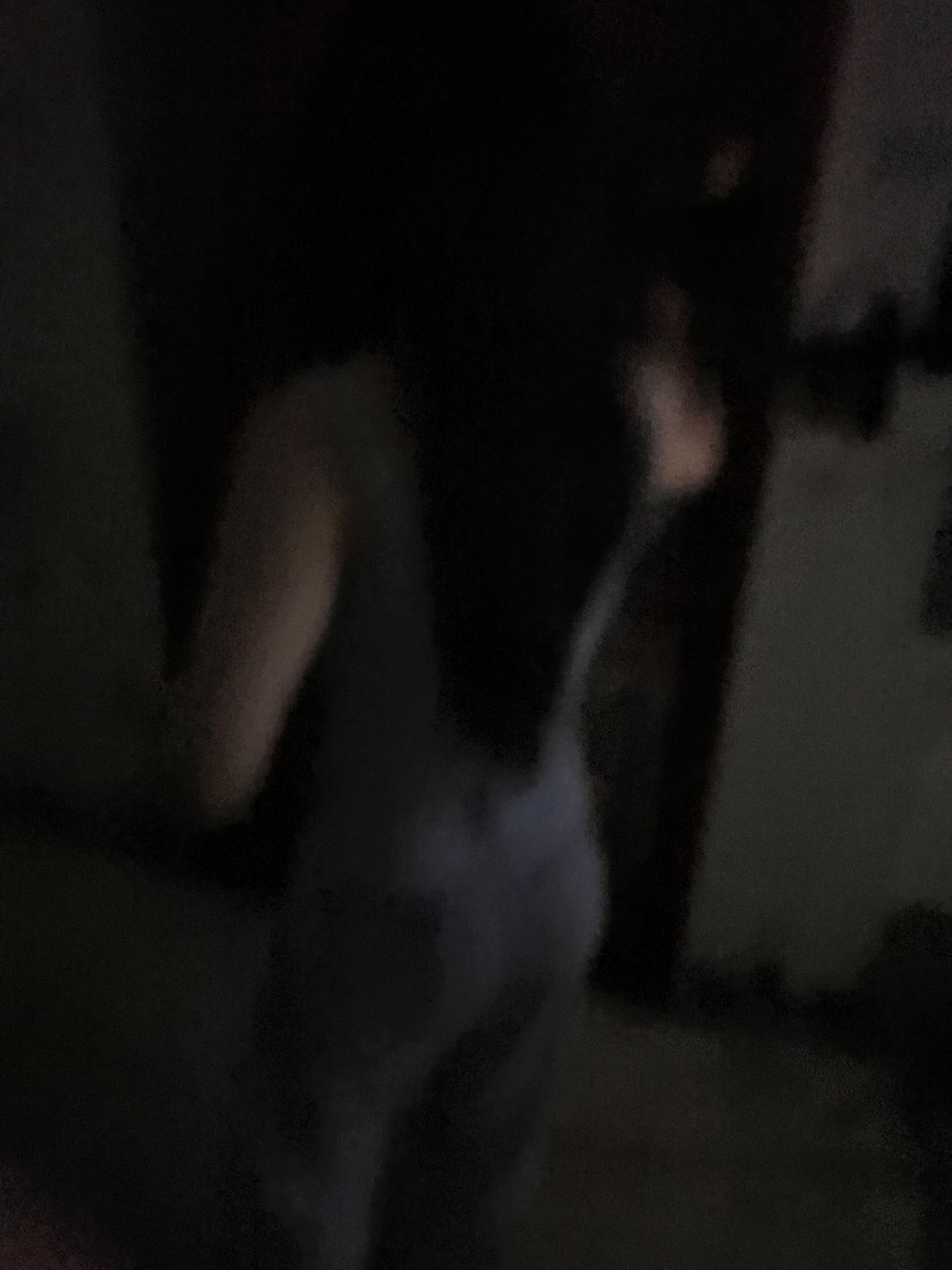 IMG_5004.jpeg