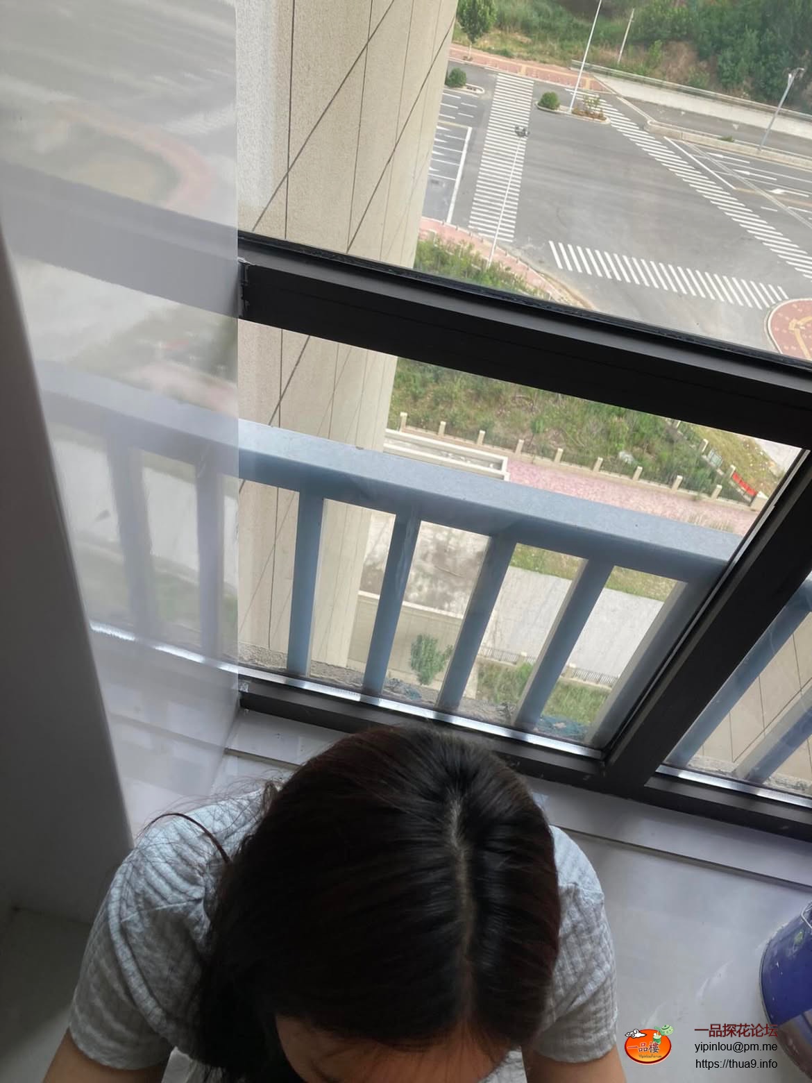 IMG_2971.jpeg