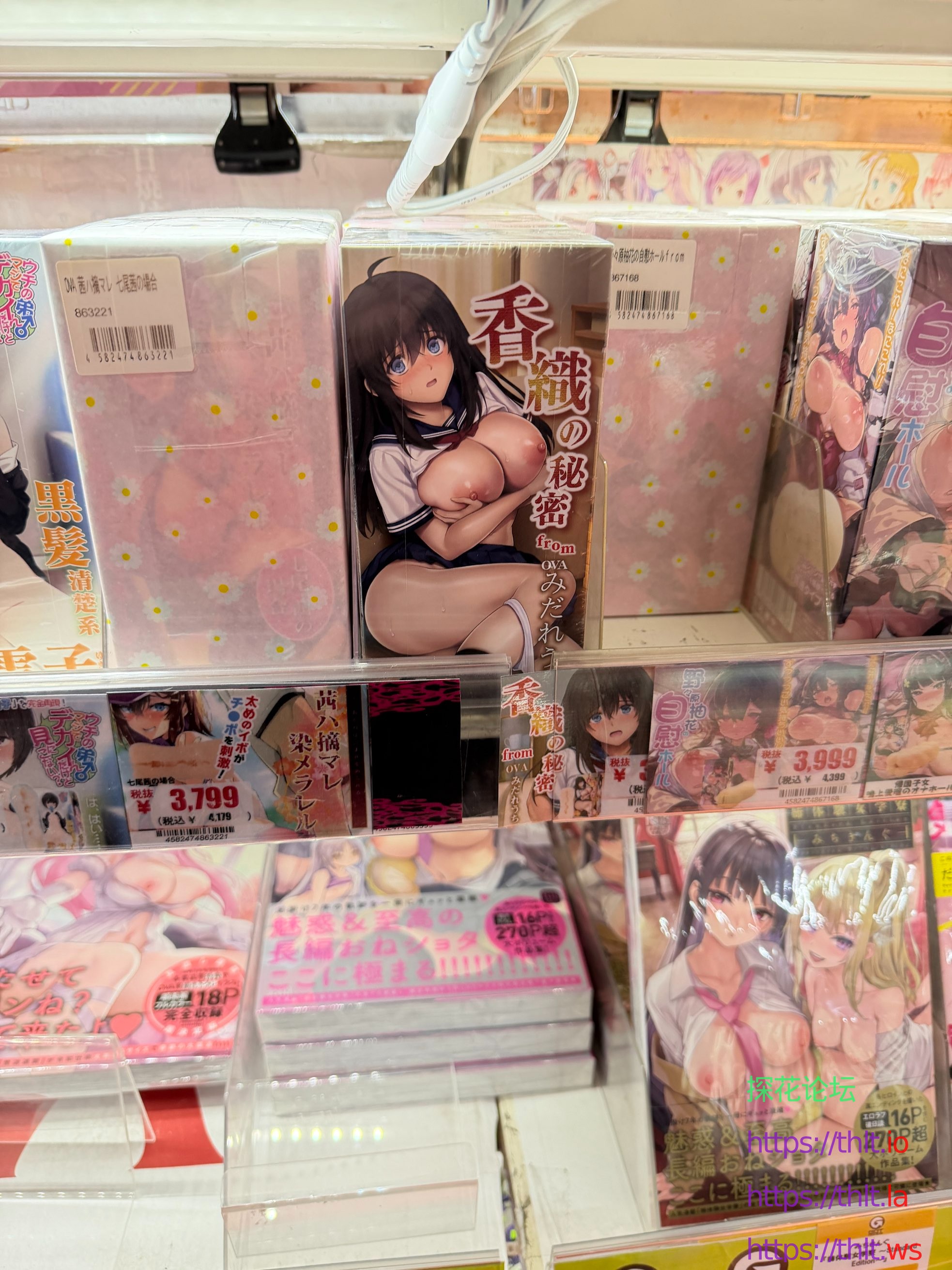 秋叶原18禁图书.jpg